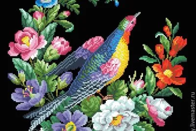 bird