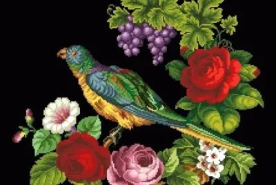 bird