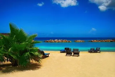 Imagem jigsaw puzzle