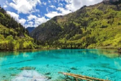 Imagem jigsaw puzzle