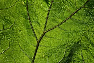 Imagem jigsaw puzzle