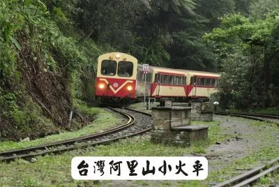 å°ç£é˜¿é‡Œå±±å°ç«è»Š