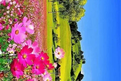 flores jigsaw puzzle