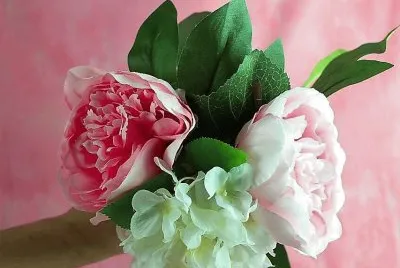 flores