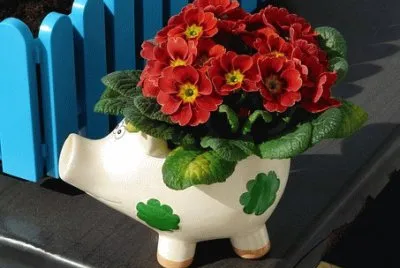 Imagem jigsaw puzzle