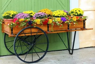 Imagem jigsaw puzzle