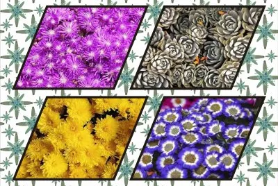 JSPuzzles-åœ–ç‰‡å»Š-ç½®å®¹å™¨ jigsaw puzzle