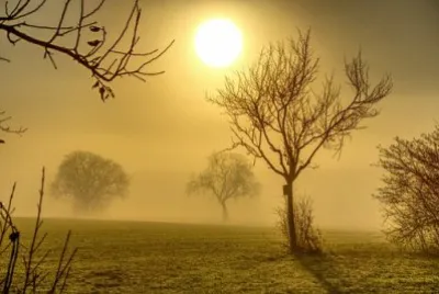 Imagem jigsaw puzzle