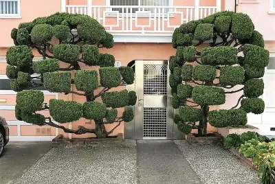 natural jigsaw puzzle