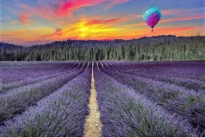 flores jigsaw puzzle