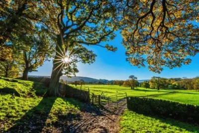 Imagem jigsaw puzzle