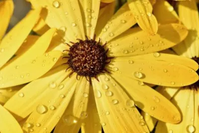 Imagem jigsaw puzzle