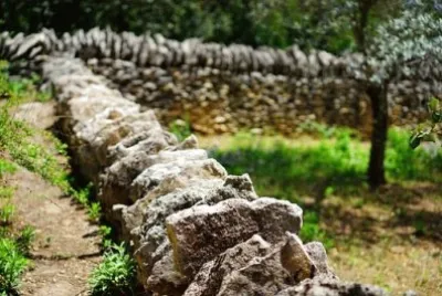 Imagem jigsaw puzzle