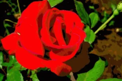 OK jigsaw puzzle