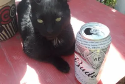 EL GUAPO