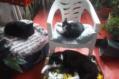 MILO, RUFO E IGOR