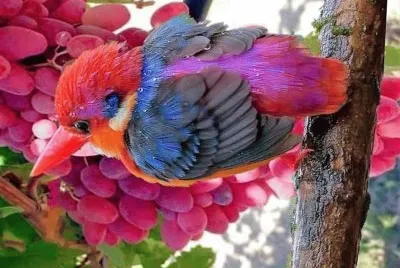 natural