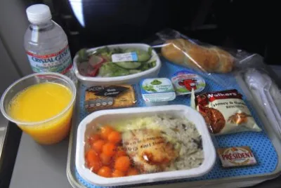 Airplane Food