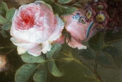 flores