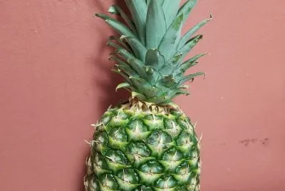 things 1