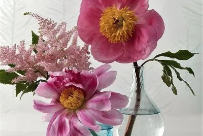 flores
