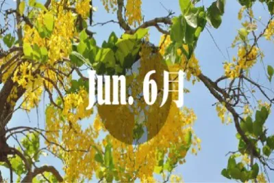 2019.06