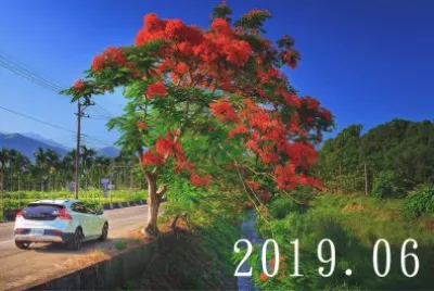 2019.06