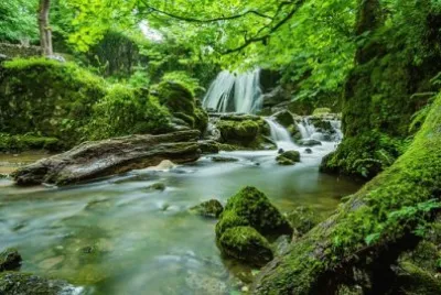 Imagem jigsaw puzzle