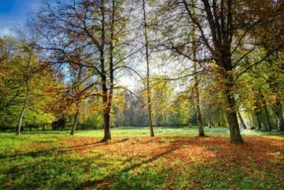 Imagem jigsaw puzzle