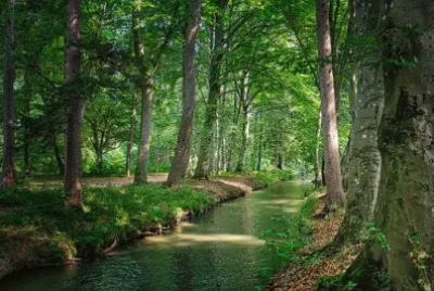 Imagem jigsaw puzzle