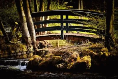 Imagem jigsaw puzzle