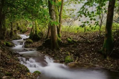 Imagem jigsaw puzzle