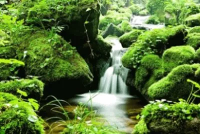 Imagem jigsaw puzzle