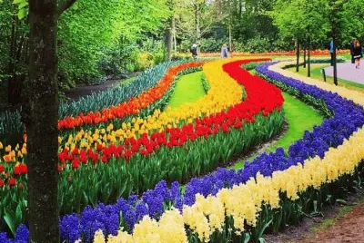 Imagem jigsaw puzzle