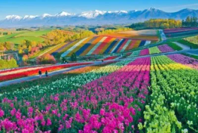 Imagem jigsaw puzzle