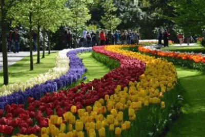 Imagem jigsaw puzzle