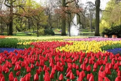 Imagem jigsaw puzzle