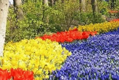 Imagem jigsaw puzzle