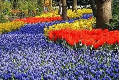 Imagem jigsaw puzzle