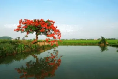 Imagem jigsaw puzzle