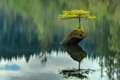 Imagem jigsaw puzzle