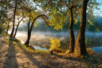 Imagem jigsaw puzzle