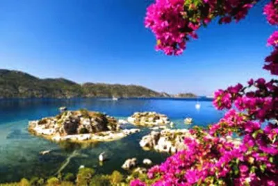 Paisajes bellos 2 jigsaw puzzle