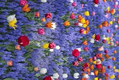 flores jigsaw puzzle
