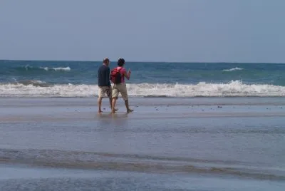 strandlÃ¤ufer