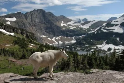 Glacier National Park jigsaw puzzle