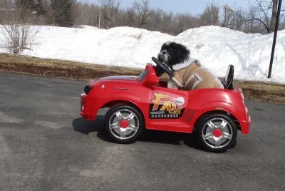  "Camaro Sue 's " first drive of the season