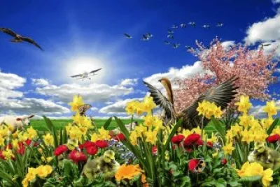 Imagem jigsaw puzzle