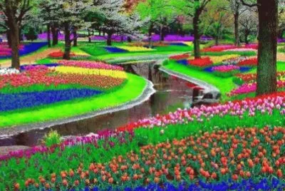 Imagem jigsaw puzzle