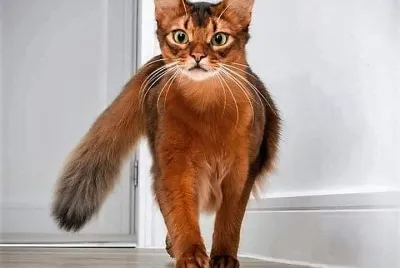 natural